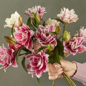 bouquet of flowers being held in a hand