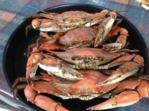 tray filled while whole cooked crabs