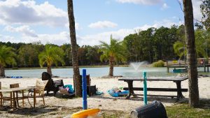 beach scene with sand and palm trees, fountain in the pond in the back