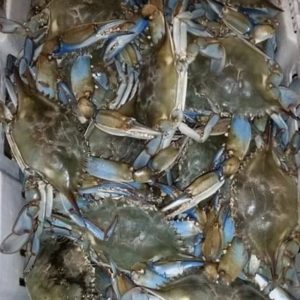 basket of whole crabs