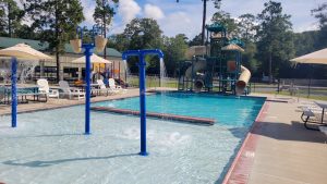 pool with waterslides