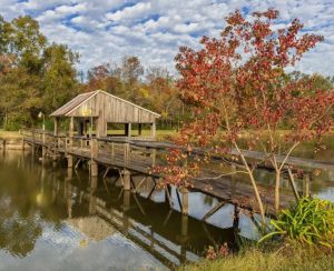 Fall picture of a covered pier over a lake