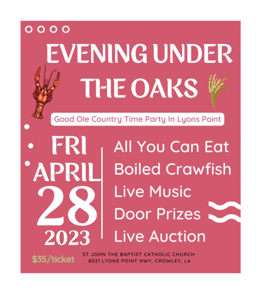 Evening Under the Oaks