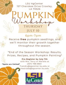 Pumpkin Workshop informational flyer