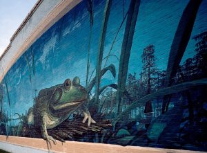 mural of a frog in a swamp