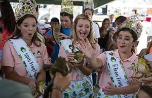 beauty queens in crowns and sashes holding large bullfrogs