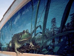 large mural of a bullfrog