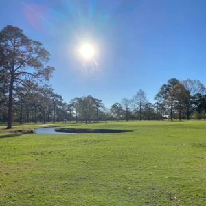 sun shining over golf course with a few trees