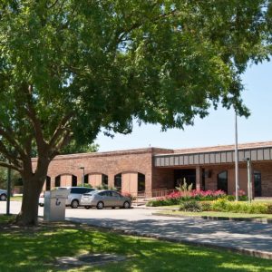 brick library building in the back with a large tree in the foreground