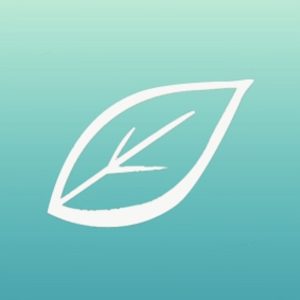 white outline of a leaf on a green background