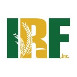 IRF logo for International Rice Festival